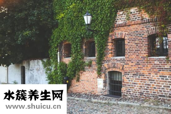 离婚后怎么才能复婚