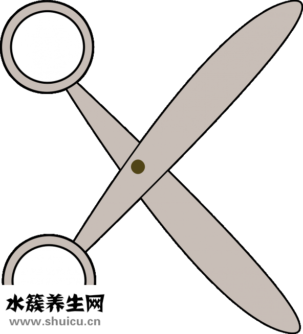 线蛇怎么处理安全