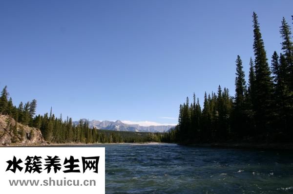 美丽雅拖把头怎么换