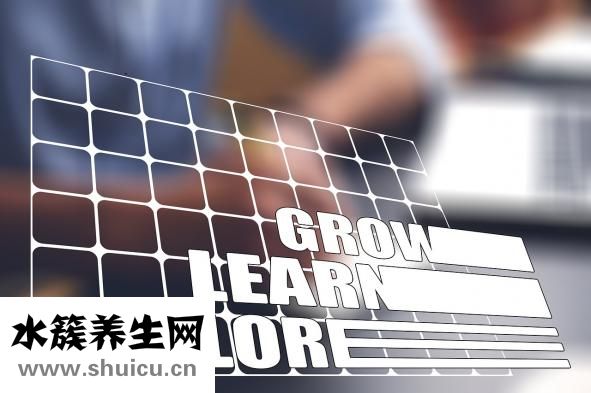 打桩怎么算钱