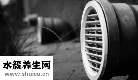 白萝卜怎么保鲜