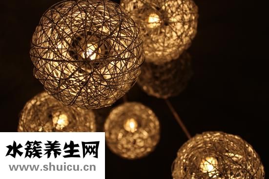 虫子爬过很痒怎么办