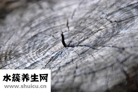 怎么做杨梅酒