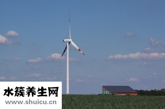 怎么熬糖画的糖