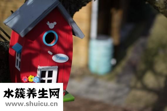 怎么治疗冻手冻脚