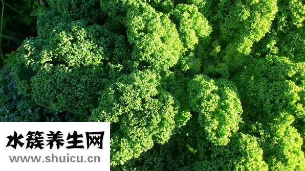 用酱油怎么腌制地环