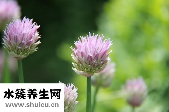 孕妇鸡眼怎么根治