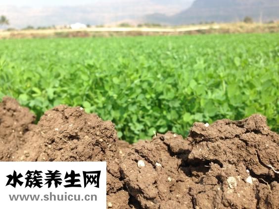 遭人栽赃怎么办