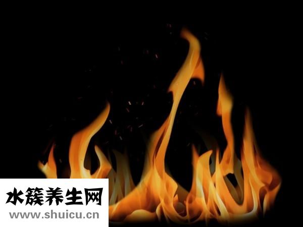 如遇强盗怎么办