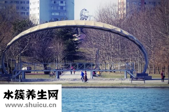 离婚后怎么才能复婚