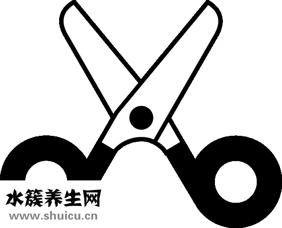线蛇怎么处理安全