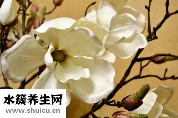 女人性欲强怎么抑制