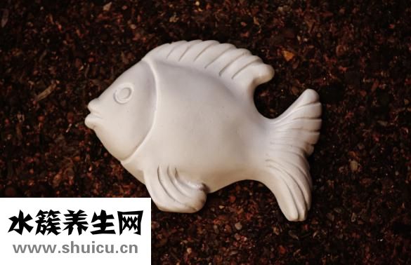 股骨头摔折怎么治疗