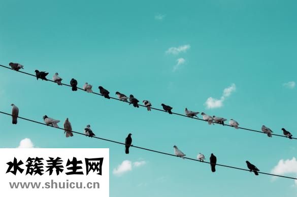 样品单管理怎么处理