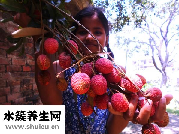 怎么挑选羽毛球