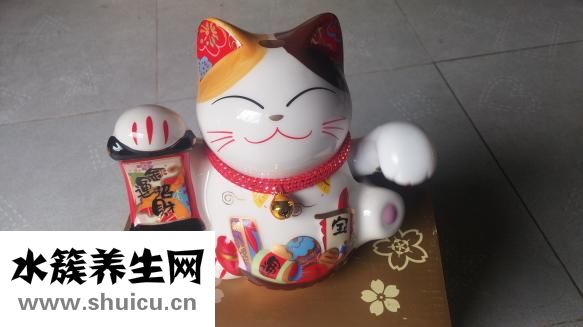 怎么让宠物变脏