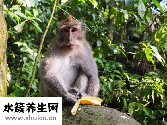 脸颊有肉怎么瘦下来