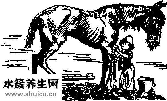 怎么理解女友