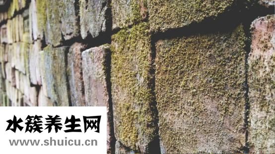 超大块肌肉男怎么