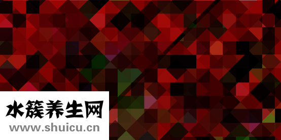 海洋生物球怎么养大