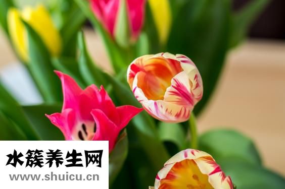 老公不爱卫生怎么办