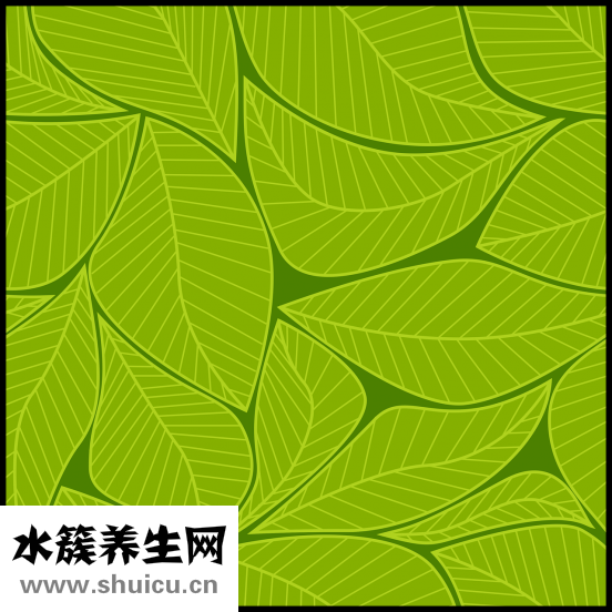 怎么能养好草金鱼
