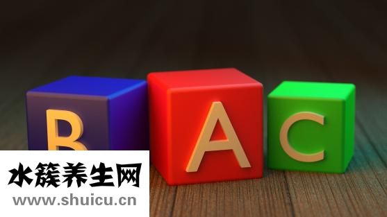 意大利面怎么画