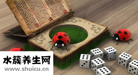 沙发生虫子怎么办