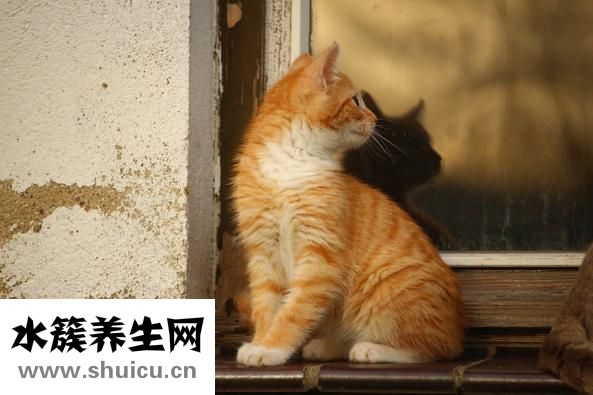 宝贝脸怎么防冻
