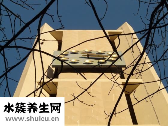 活河蟹应该怎么保存