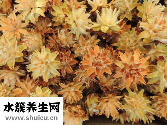 臭干子的汤汁怎么做