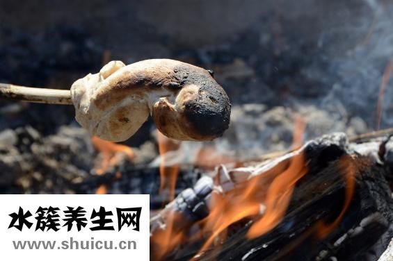 羊怎么喝水
