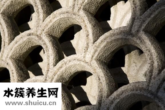 柠檬怎么腌制好吃