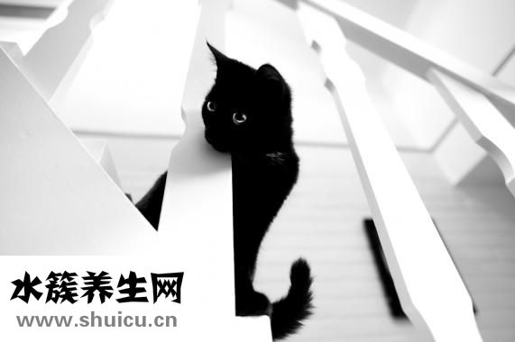 眼晴流泪是怎么回事