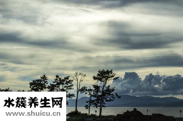 猫舔过的碗怎么消毒