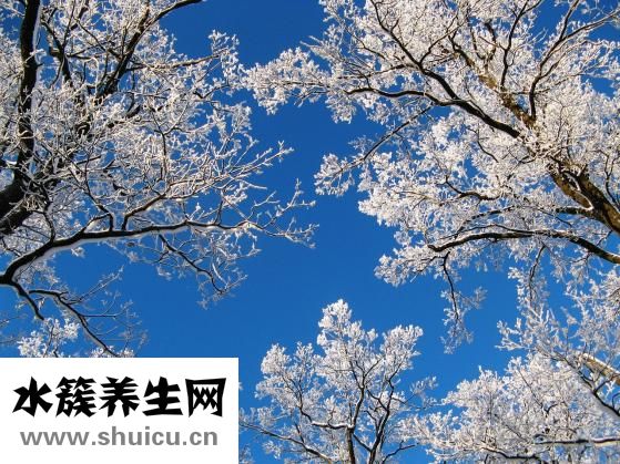怎么调整好心态