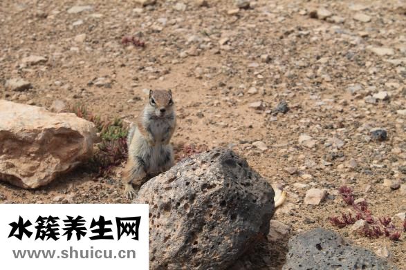 怎么把脚骨折