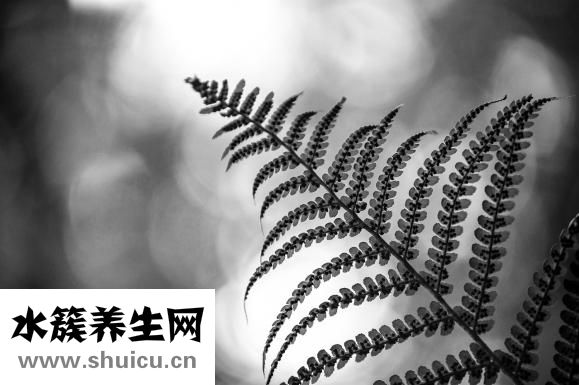 指甲盖缝长弄怎么办