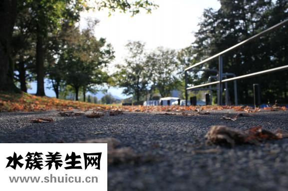 怎么快速锻炼出肌肉