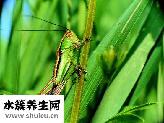 夜晚怎么造句