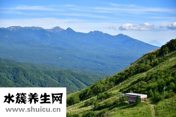 小槐花怎么种