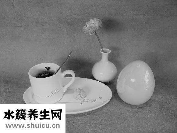 肉包子馅怎么做松软