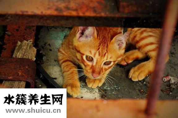 怎么让汗毛变细