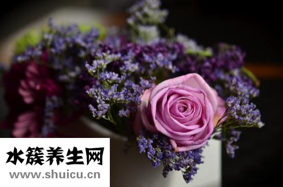 怎么减肚子赘肉