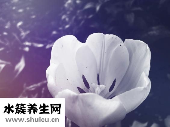 白色灰指甲怎么治疗