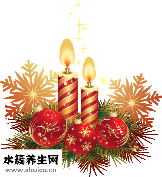 外国平安夜怎么过