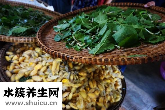 红薯面窝窝头怎么做