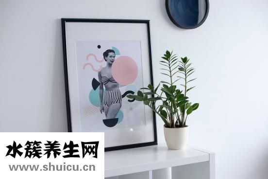 红烧汁怎么用