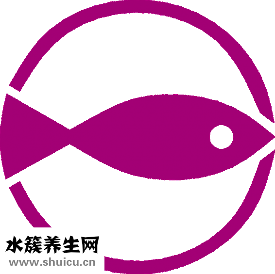 海砺子怎么洗