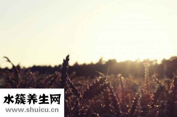 女性卫生巾怎么用